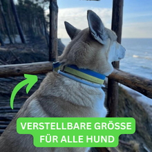 Lade das Bild in den Galerie-Viewer, Zeckefrei™ Paket - Zeckenhalsband & Bio Hundeshampoo gegen Zecken und Flöhe inkl. GRATIS eBook für Zeckenbekämpfung