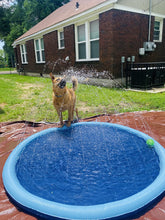 Lade das Bild in den Galerie-Viewer, SplashMat™- Wassermatte für Hunde
