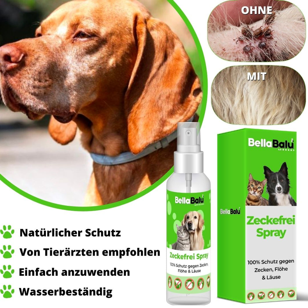 ZECKEFREI Bio-Spray für Hunde inkl. Gratis eBook - 8 Monate langer Schutz gegen Flöhe, Milben & Zecken