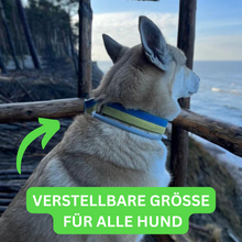 Lade das Bild in den Galerie-Viewer, ZECKEFREI für Hunde inkl. Gratis E-Book - Wirkt 8 Monate gegen Zecken &amp; Flöhe
